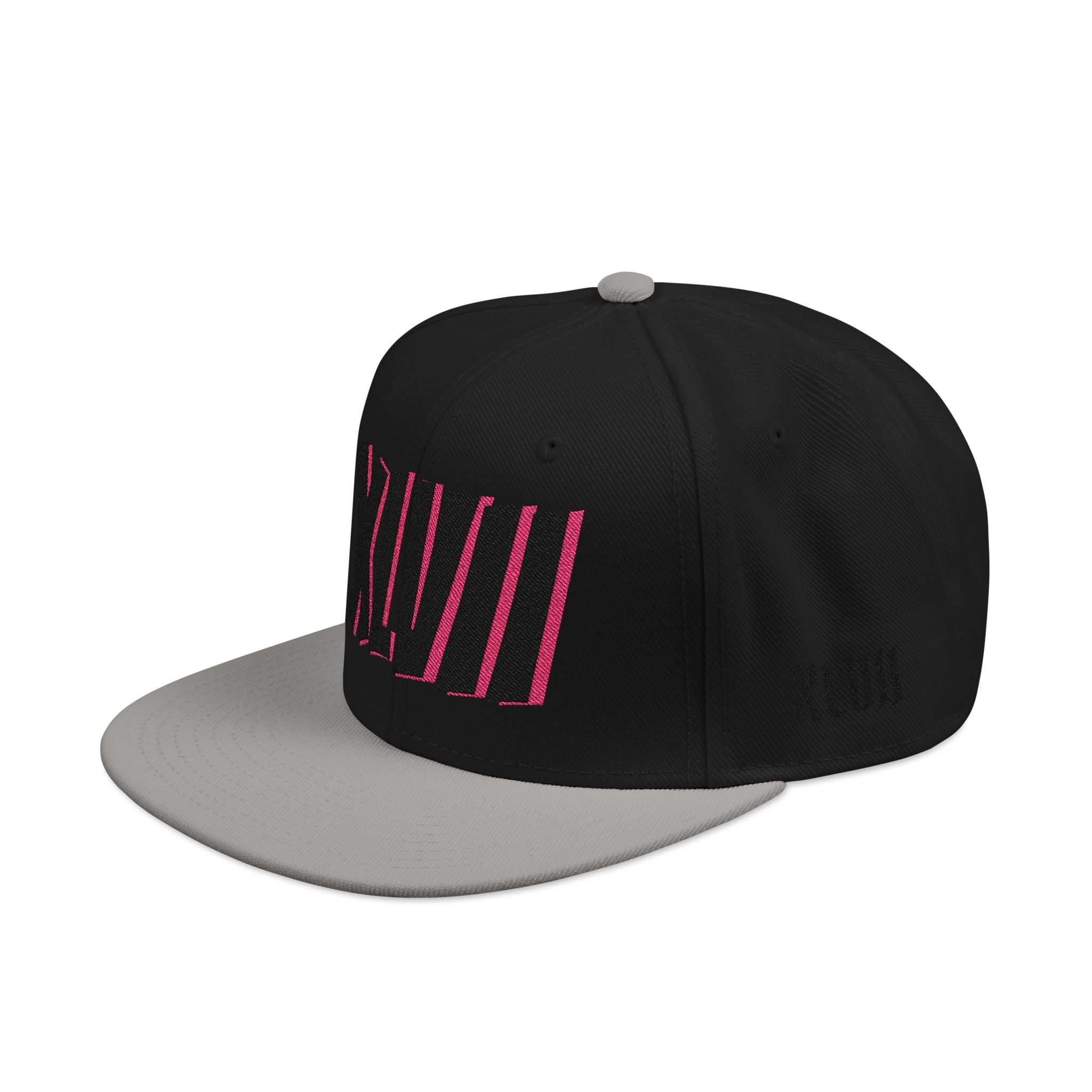 XLVII Snapback (Embroidery) 1ST EDITIØN