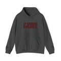 XLVII Embroidered Pull-Over (1ST GXMY EDITIØN)