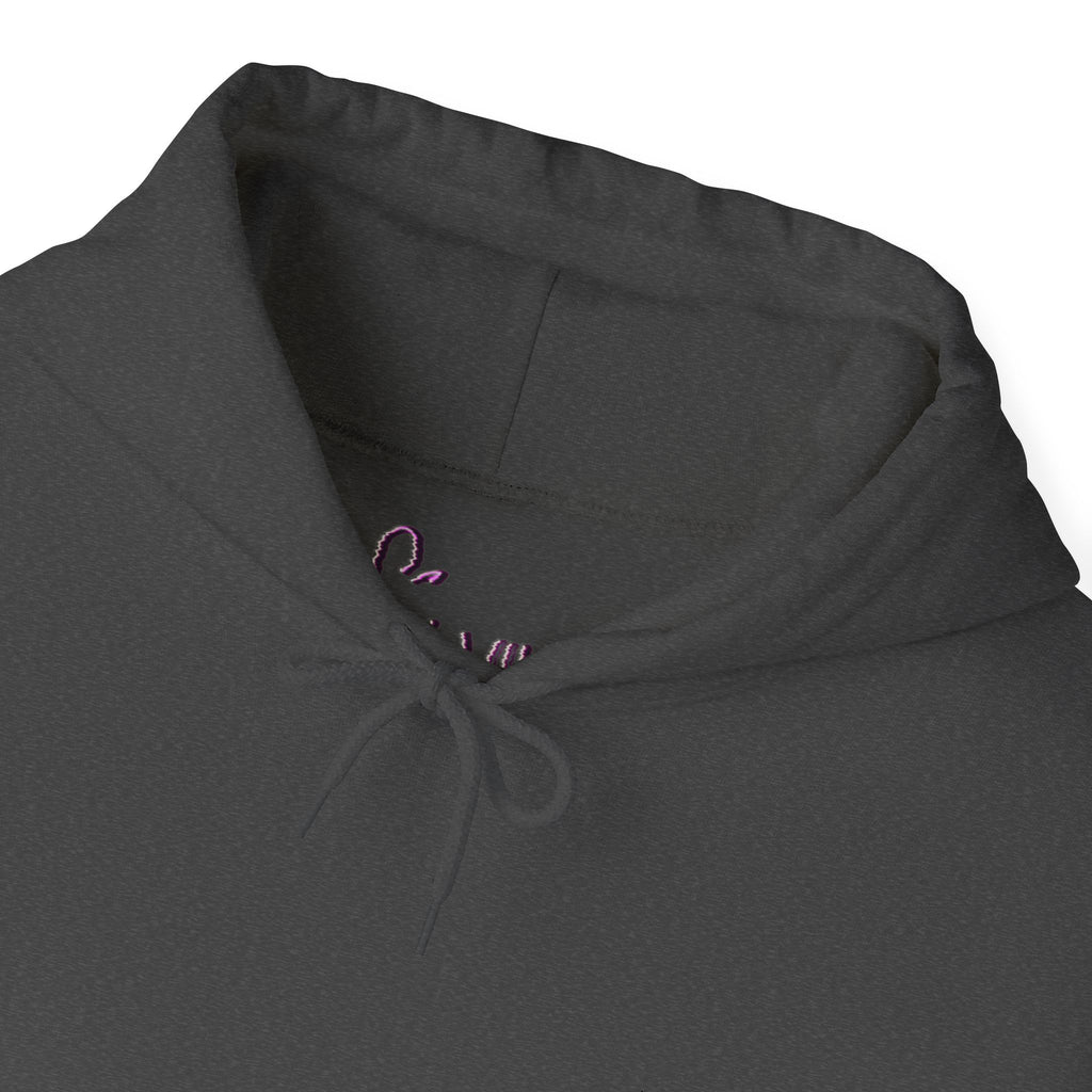 XLVII Embroidered Pull-Over (1ST GXMY EDITIØN)